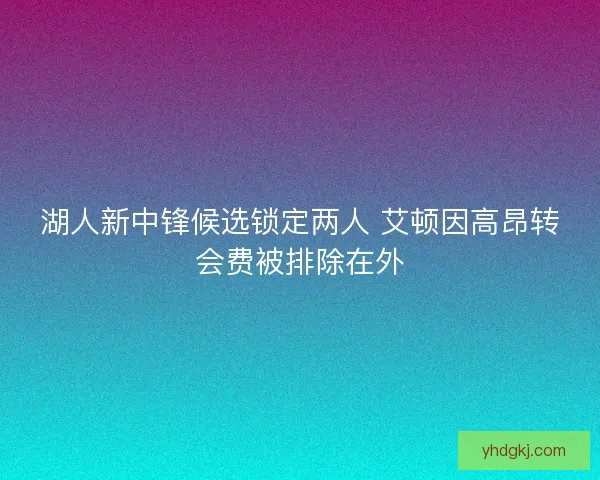 湖人新中锋候选锁定两人 艾顿因高昂转会费被排除在外