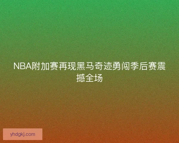 NBA附加赛再现黑马奇迹勇闯季后赛震撼全场